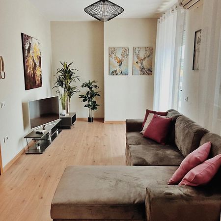 Cozy Rooftop Apartment - Your Home, Away From Home! Tiranë Ngoại thất bức ảnh
