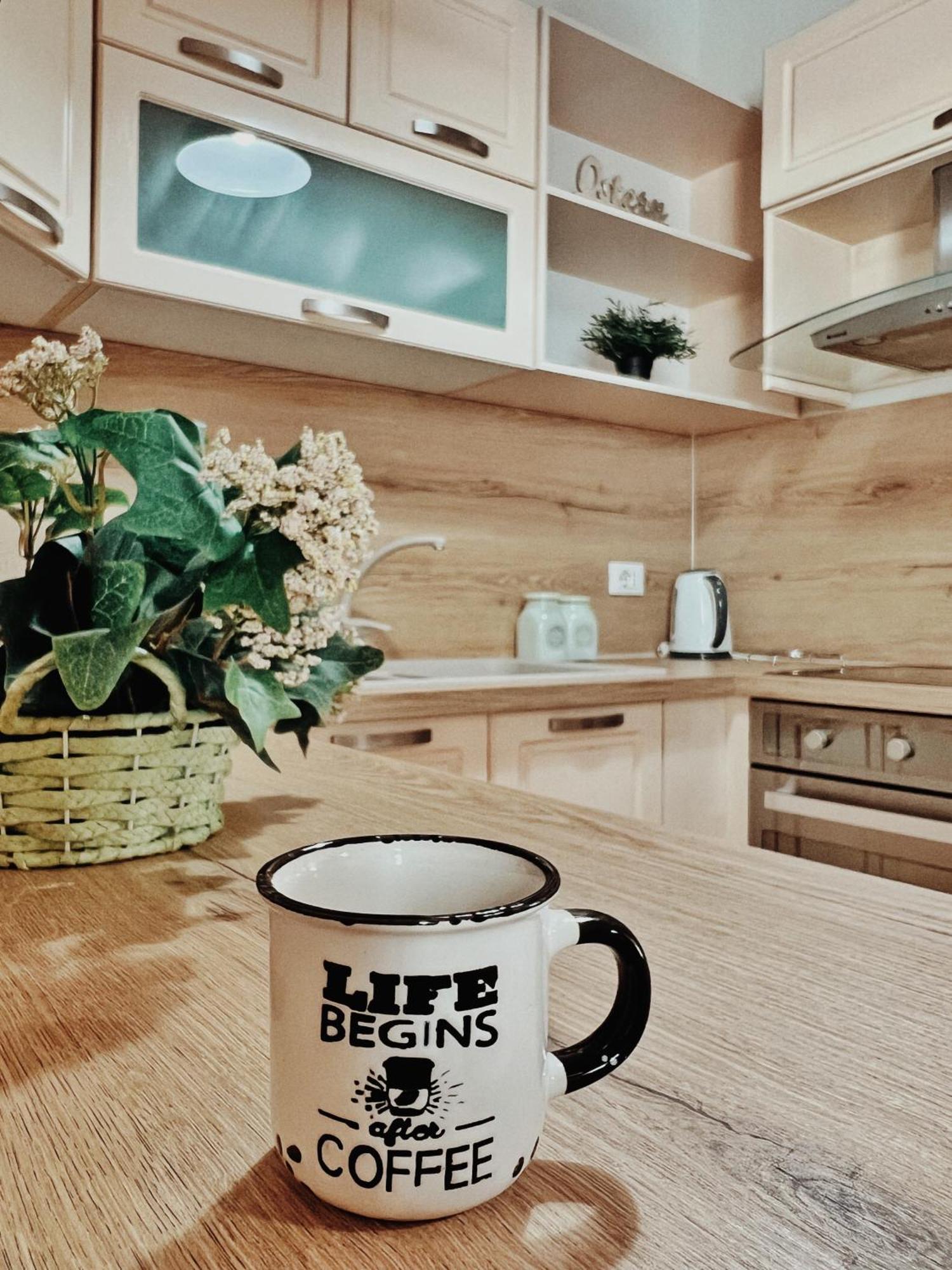 Cozy Rooftop Apartment - Your Home, Away From Home! Tiranë Ngoại thất bức ảnh
