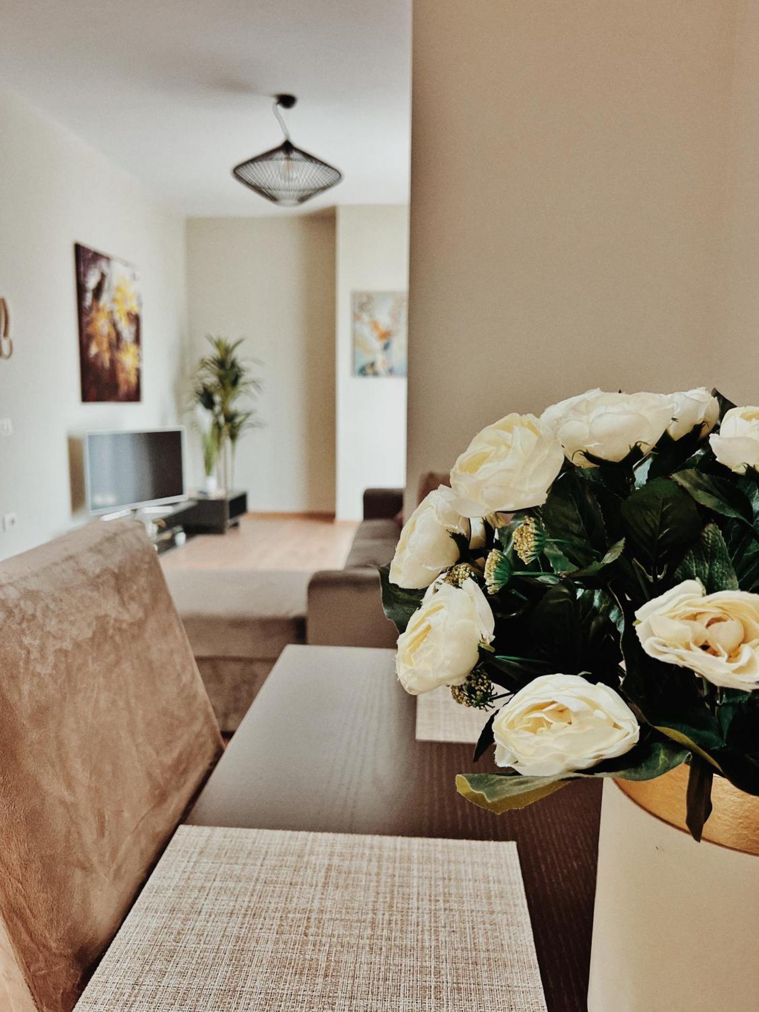 Cozy Rooftop Apartment - Your Home, Away From Home! Tiranë Ngoại thất bức ảnh